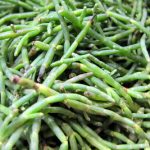 Sea bean